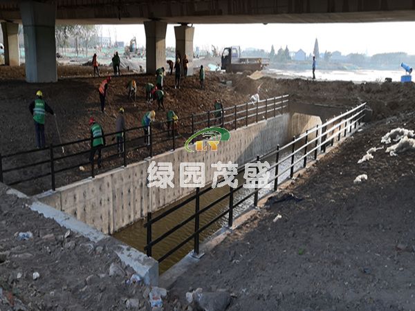河道護(hù)欄1.jpg