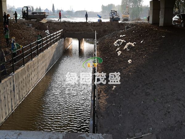 河道護(hù)欄2.jpg